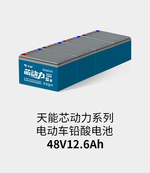 拉霸LaBa360电池48v12ah