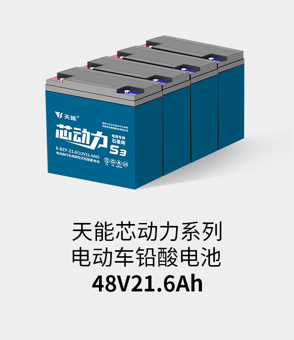 拉霸LaBa360电池48v20ah