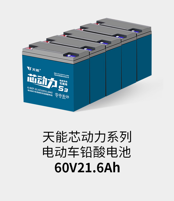 拉霸LaBa360电池60v20ah