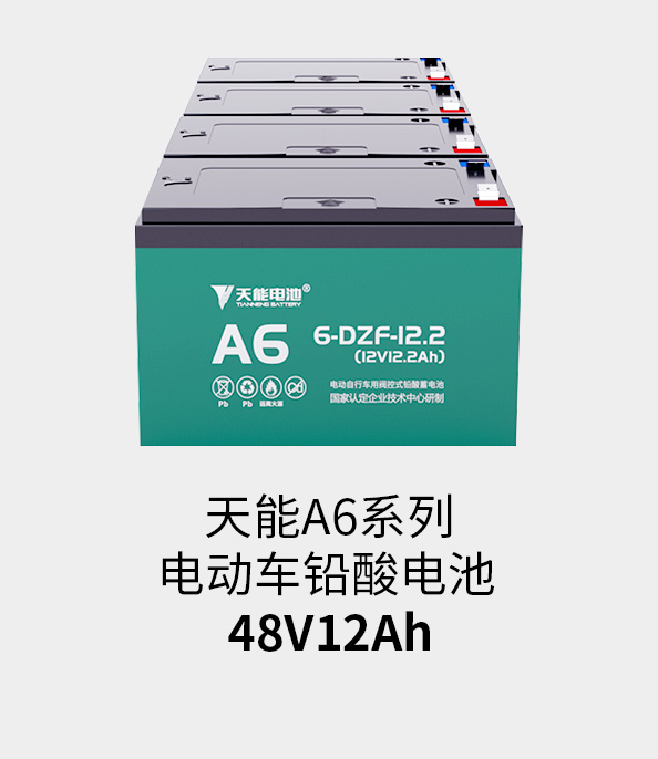 拉霸LaBa360电池48v12ah