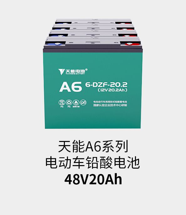 拉霸LaBa360电池48v20ah