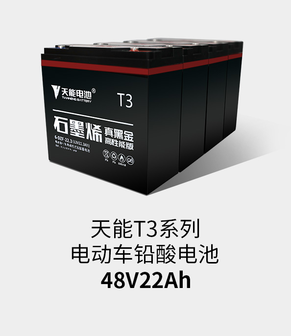 拉霸LaBa360T3系列48v22ah