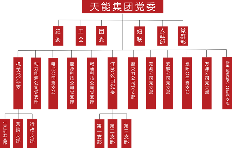 拉霸LaBa360建团党委组织架构